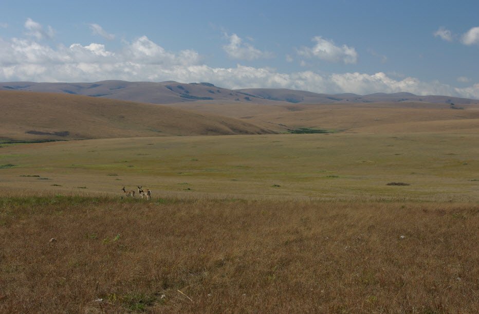 Nyika National Park, Northern Region (Rumphi District), Malawi